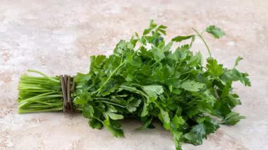 garnishing-instructions-image